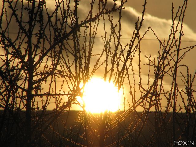 album/022 Tramonto dietro le quinte.JPG